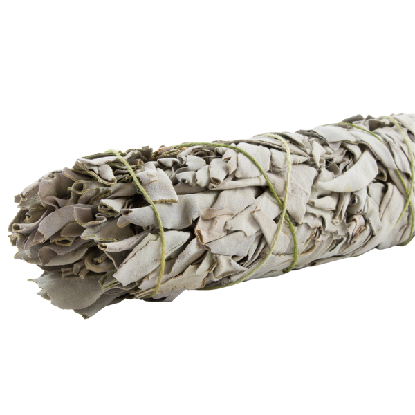 Sage Candles - IndigenouslyInfused