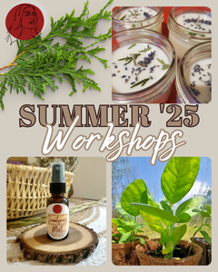 Workshop Series