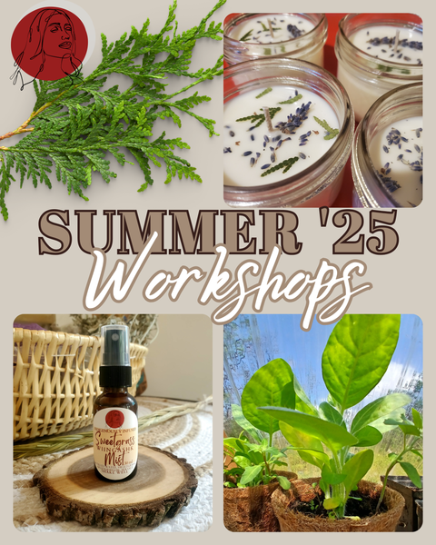 Workshop Series